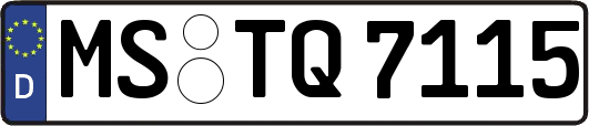 MS-TQ7115
