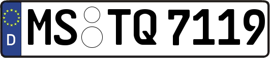 MS-TQ7119