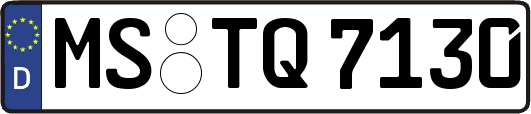 MS-TQ7130