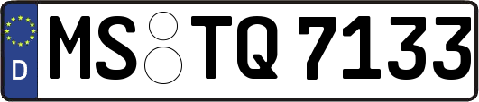 MS-TQ7133