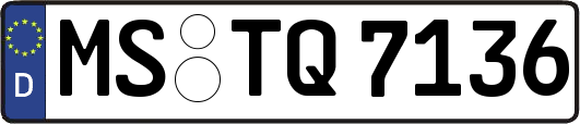 MS-TQ7136