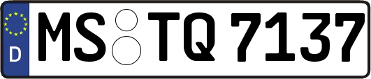 MS-TQ7137
