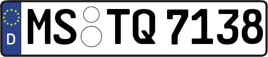 MS-TQ7138