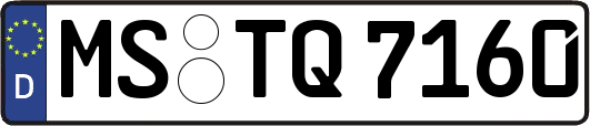 MS-TQ7160