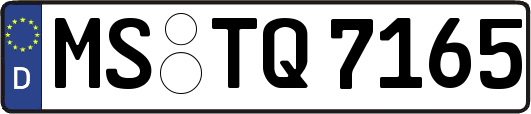 MS-TQ7165