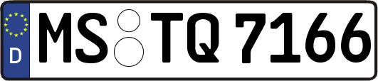MS-TQ7166