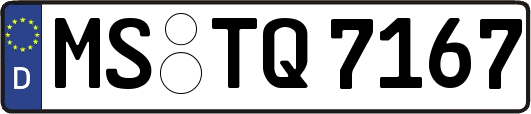 MS-TQ7167