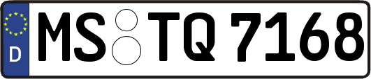 MS-TQ7168