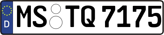 MS-TQ7175