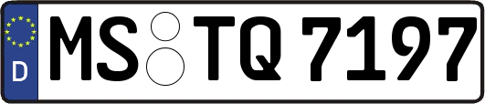 MS-TQ7197