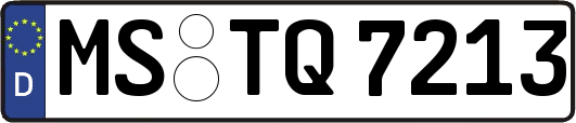 MS-TQ7213