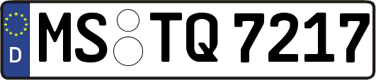 MS-TQ7217