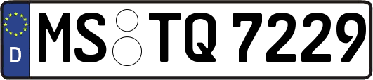 MS-TQ7229