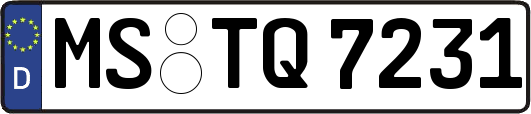 MS-TQ7231