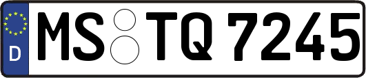 MS-TQ7245