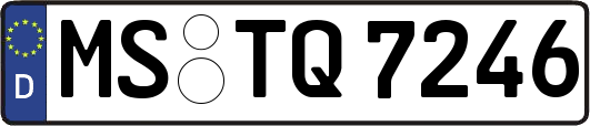 MS-TQ7246