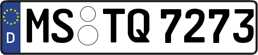 MS-TQ7273