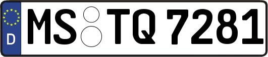 MS-TQ7281