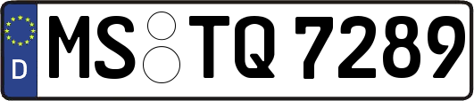 MS-TQ7289