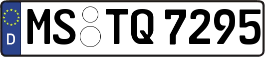 MS-TQ7295