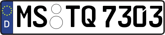 MS-TQ7303