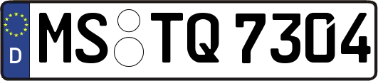 MS-TQ7304