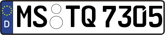 MS-TQ7305