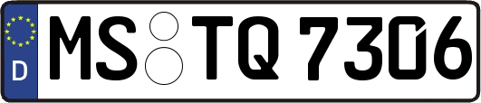 MS-TQ7306