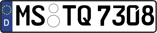 MS-TQ7308