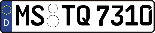 MS-TQ7310