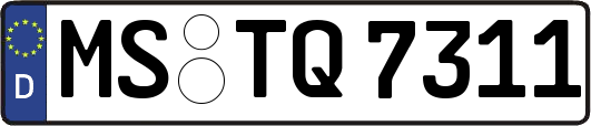 MS-TQ7311