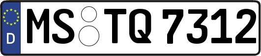 MS-TQ7312