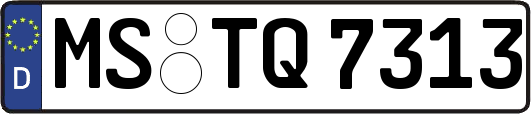 MS-TQ7313