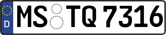 MS-TQ7316