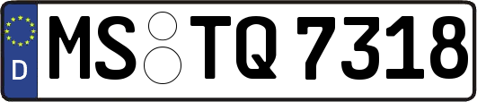 MS-TQ7318