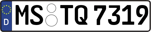 MS-TQ7319
