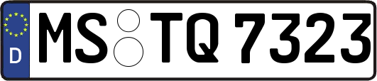 MS-TQ7323