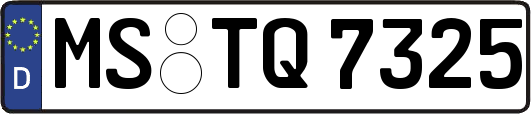 MS-TQ7325