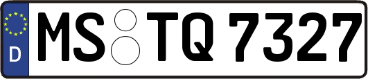 MS-TQ7327