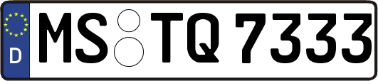 MS-TQ7333