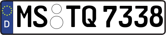 MS-TQ7338