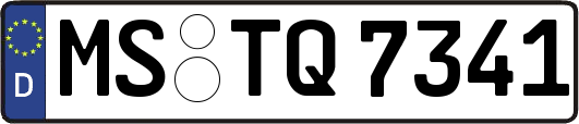 MS-TQ7341