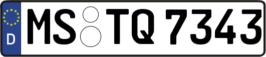 MS-TQ7343