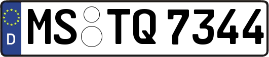 MS-TQ7344