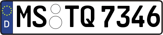 MS-TQ7346