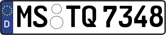 MS-TQ7348