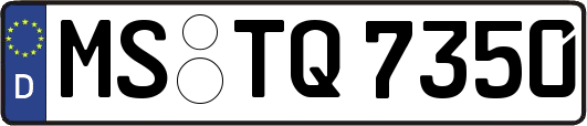 MS-TQ7350