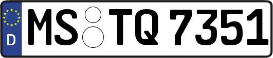 MS-TQ7351