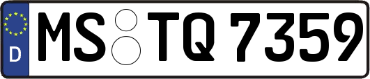 MS-TQ7359