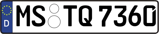 MS-TQ7360
